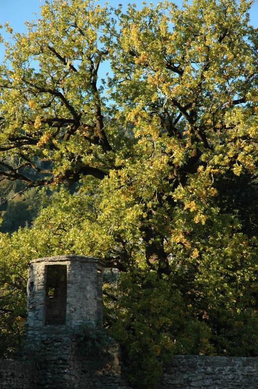 Agriturismo Casteldelpiano Licciana Nardi Exterior foto